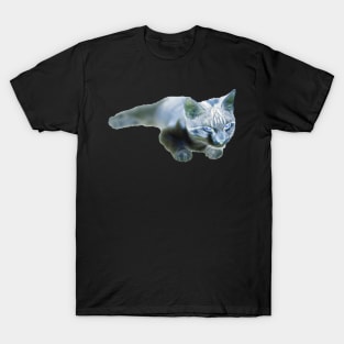 strange cat T-Shirt